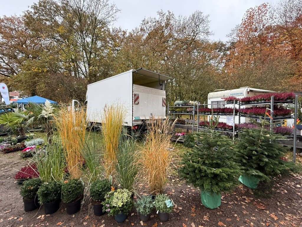 Herbstzauber Lilienthal 2025 Impression 5